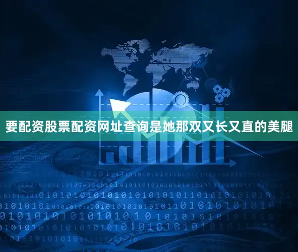 要配资股票配资网址查询是她那双又长又直的美腿