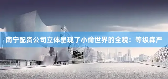 南宁配资公司立体呈现了小偷世界的全貌：等级森严