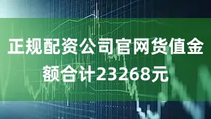 正规配资公司官网货值金额合计23268元