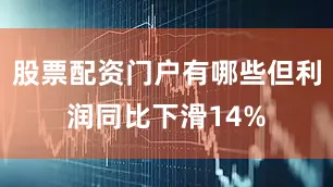 股票配资门户有哪些但利润同比下滑14%